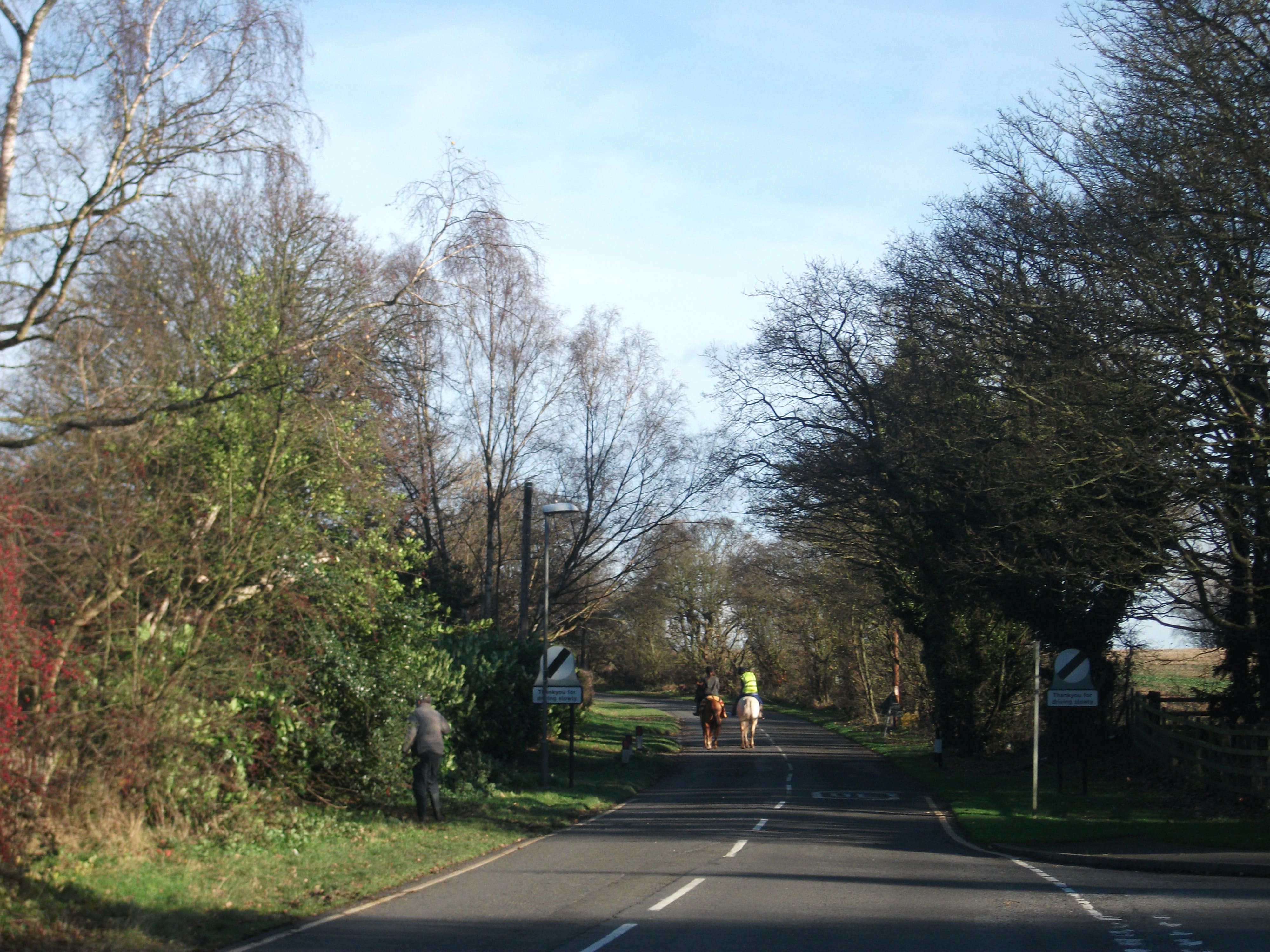 Two horseriders using Rufford Lane after the closure